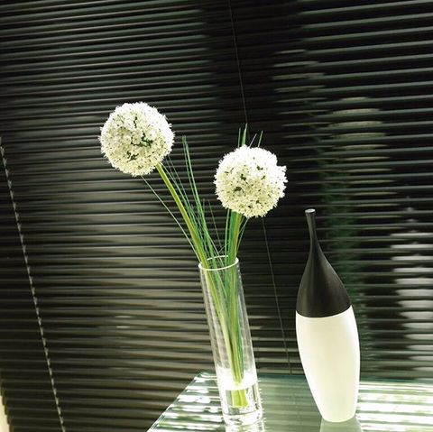 office blinds